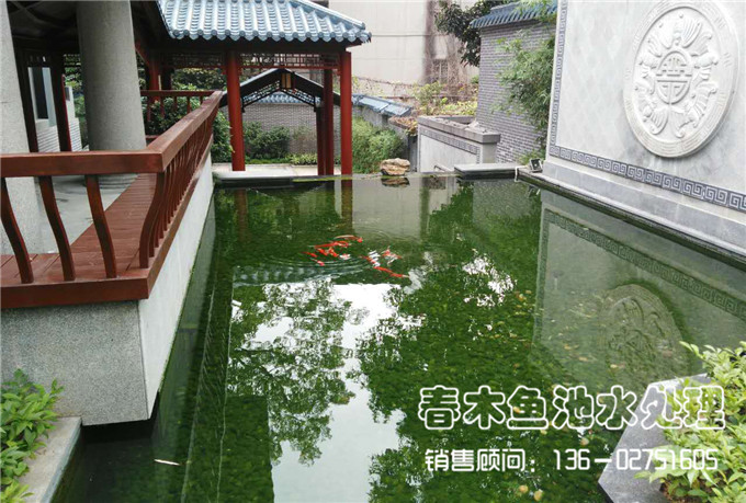 庭院鱼池过滤系统效果图片