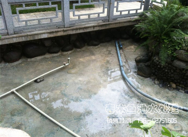 庭院鱼池生物过滤系统案例图片1