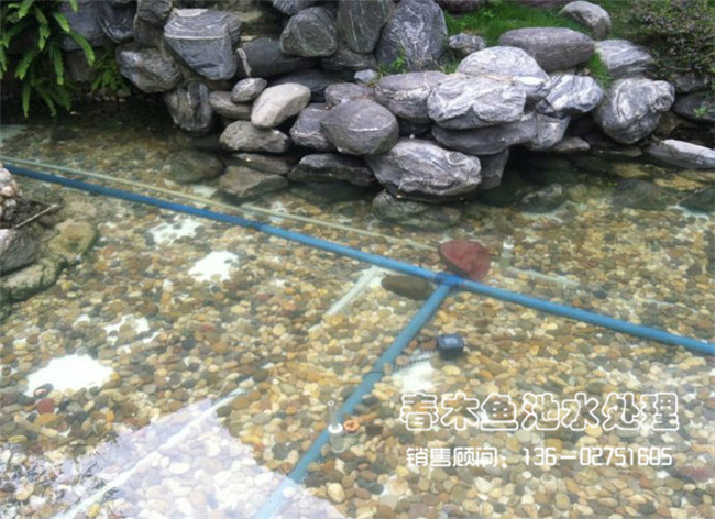 庭院鱼池生物过滤系统案例图片2
