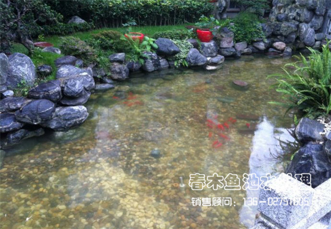庭院鱼池生物过滤系统案例图片3