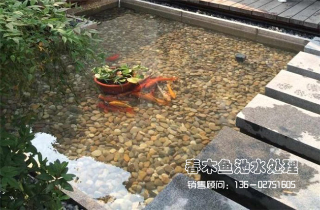 庭院小鱼池设计案例图片