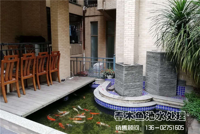 广州番禺区洋房鱼池改造施工图片3