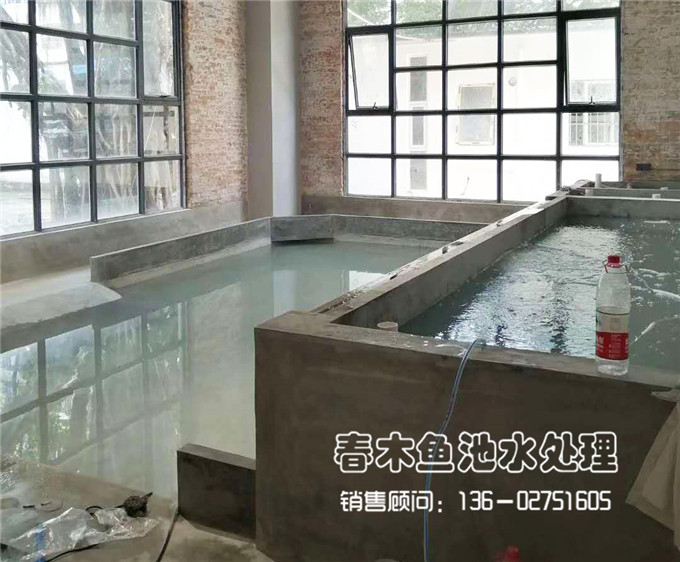 广州萝岗区鱼池龟池设计图4