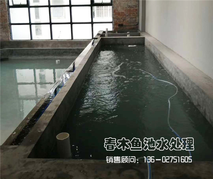 广州萝岗区鱼池龟池设计图6