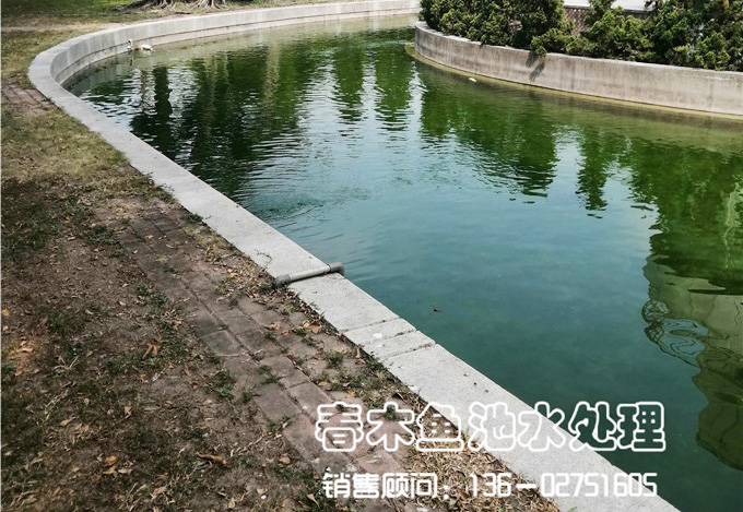 佛山顺德区景观鱼池水净化系统改造图片12