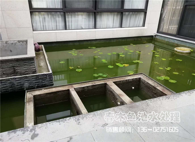广州黄埔区别墅鱼池改造案例图片1