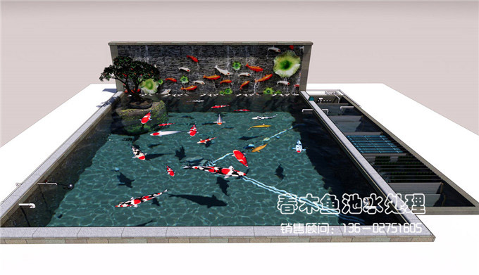 锦鲤鱼池过滤系统设计图4