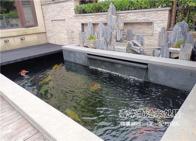 最简单庭院自制小鱼池设计