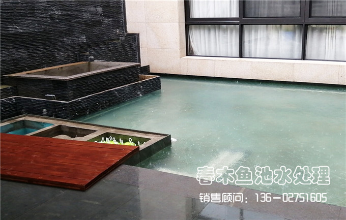 广州黄埔区别墅鱼池改造案例图片5